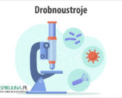 Drobnoustroje