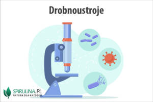 Drobnoustroje