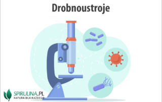 Drobnoustroje