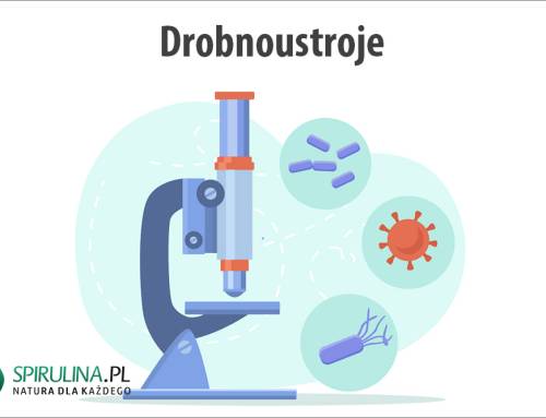 Drobnoustroje