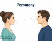 Feromony