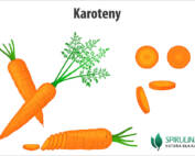 Karoteny