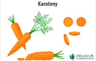 Karoteny