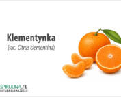 Klementynka