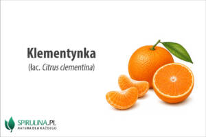 Klementynka