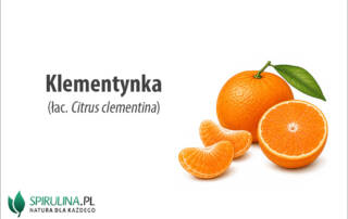 Klementynka