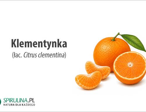 Klementynka
