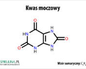 Kwas moczowy