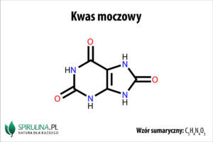 Kwas moczowy