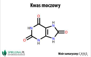 Kwas moczowy