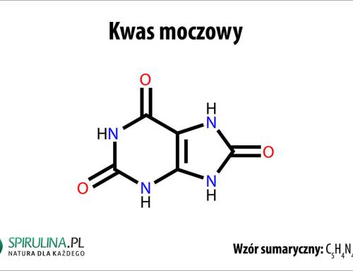 Kwas moczowy