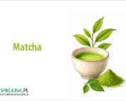 Matcha