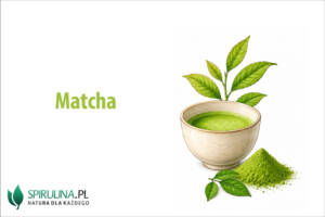 Matcha