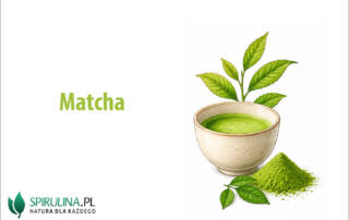 Matcha