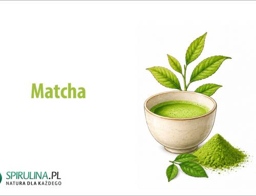 Matcha