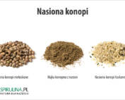 Nasiona konopi