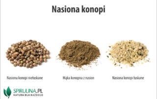 Nasiona konopi