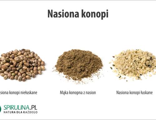 Nasiona konopi
