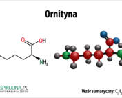 Ornityna