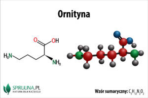 Ornityna