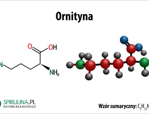 Ornityna