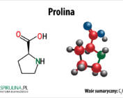 Prolina