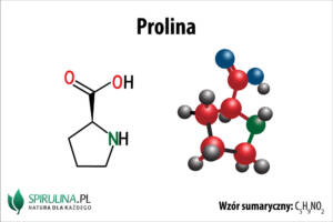 Prolina