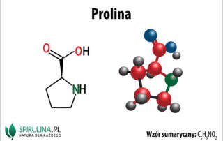 Prolina