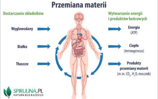 Przemiana materii