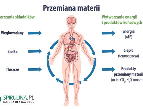 Przemiana materii