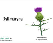 Sylimaryna