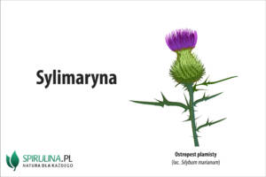 Sylimaryna