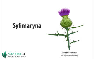 Sylimaryna