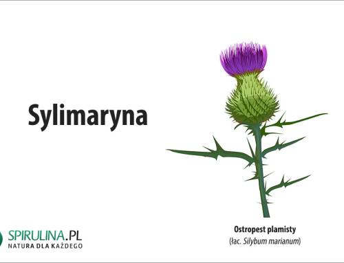 Sylimaryna