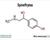 Synefryna