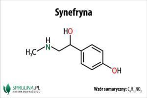 Synefryna