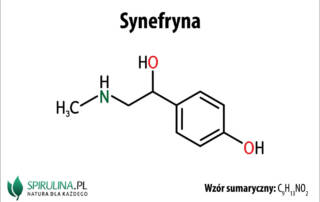 Synefryna