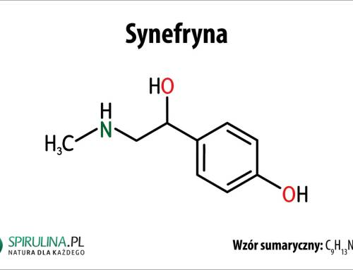 Synefryna