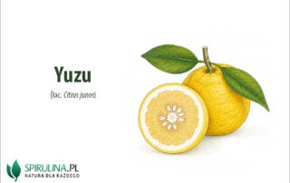 Yuzu