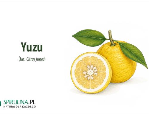 Yuzu