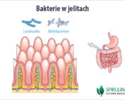 Bakterie w jelitach