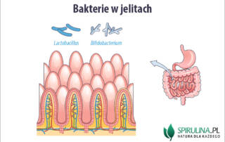 Bakterie w jelitach