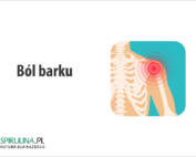 Ból barku