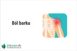Ból barku