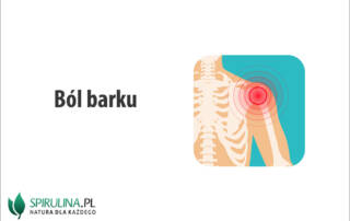 Ból barku