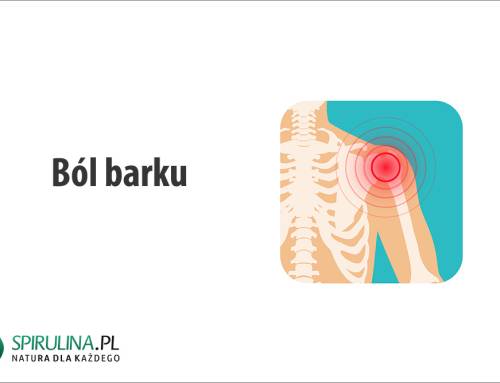 Ból barku