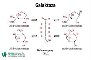 Galaktoza