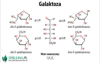 Galaktoza
