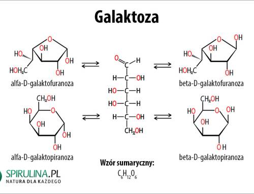 Galaktoza