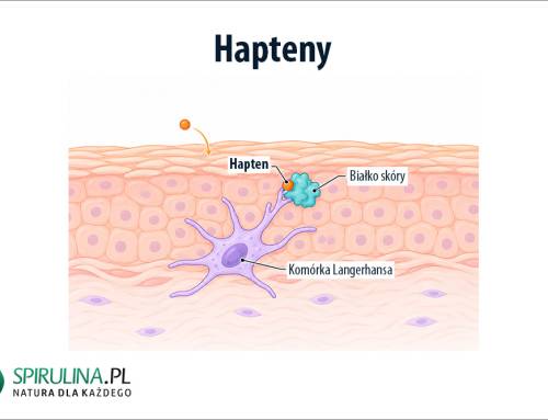Hapteny